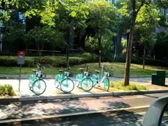 Net reveals that shared bicycles equipped with Bei