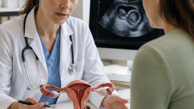 Empower Your Health: Strategies to Combat Rising Endometrial Cancer Rates | link alternatif presiden
