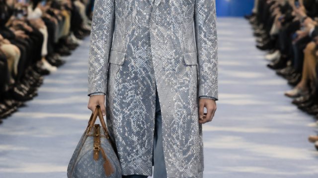 Louis Vuitton Unveils Groundbreaking Spring 2027 Menswear at Paris Fashion Week | dog house big win,